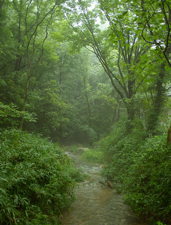 Amanyangyun Gallery